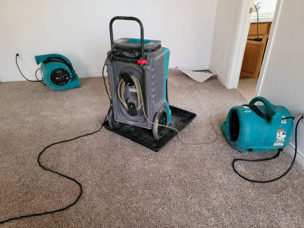 Best Flood restoration services  in Mineralwells, WV
