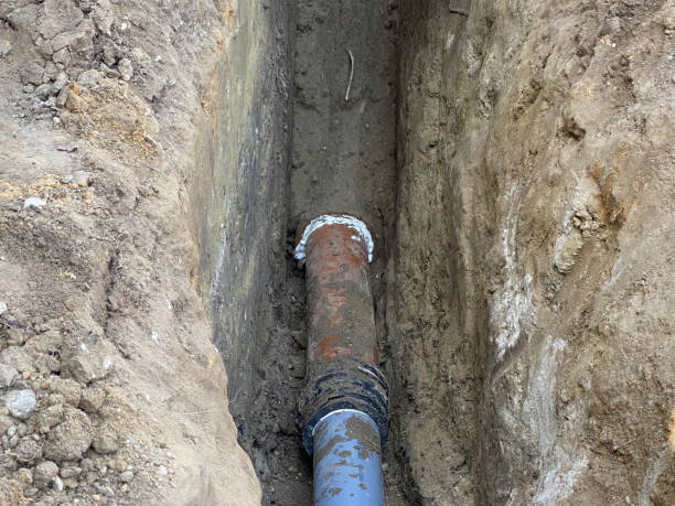 Best Professional water damage repair  in Mineralwells, WV