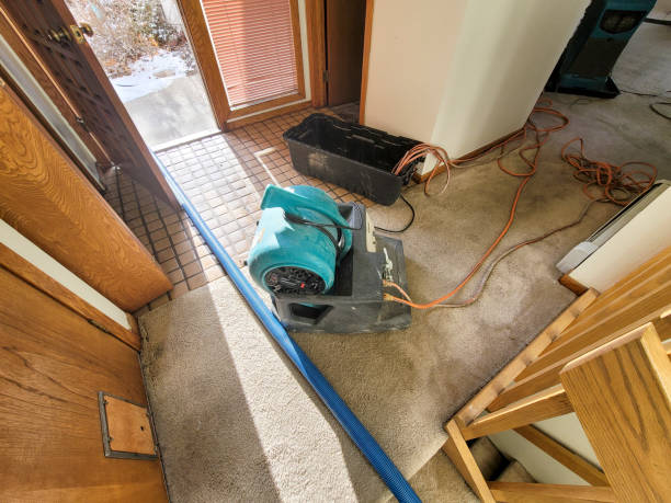 Best Local water damage restoration  in Mineralwells, WV