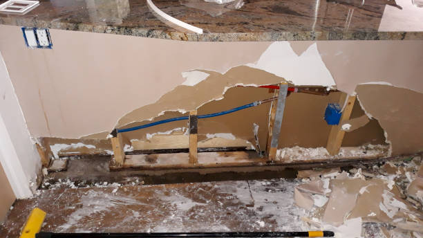 Best Ceiling water damage repair  in Mineralwells, WV