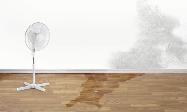 Best Commercial water damage restoration  in Mineralwells, WV