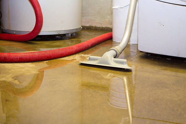 Best Sewage cleanup and water damage restoration  in Mineralwells, WV