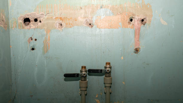 Best Carpet water damage restoration  in Mineralwells, WV