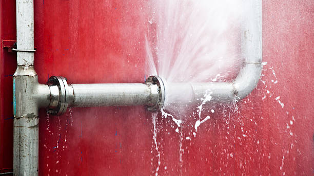 Best Water damage contractors near me  in Mineralwells, WV
